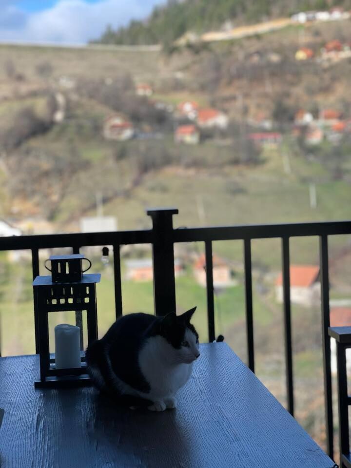 Popovići Vila Maslacak מראה חיצוני תמונה